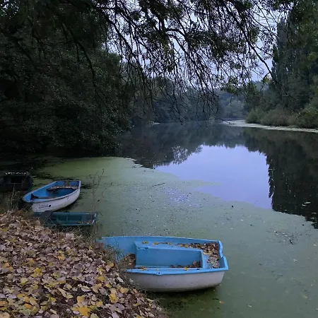 Alloggio in famiglia Chambre Bananier: Maison Arborée Face à La Rivière