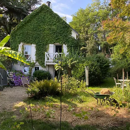 Chambre Bananier: Maison Arborée Face à La Rivière