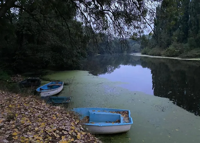 Alloggio in famiglia Chambre Bananier: Maison Arborée Face à La Rivière