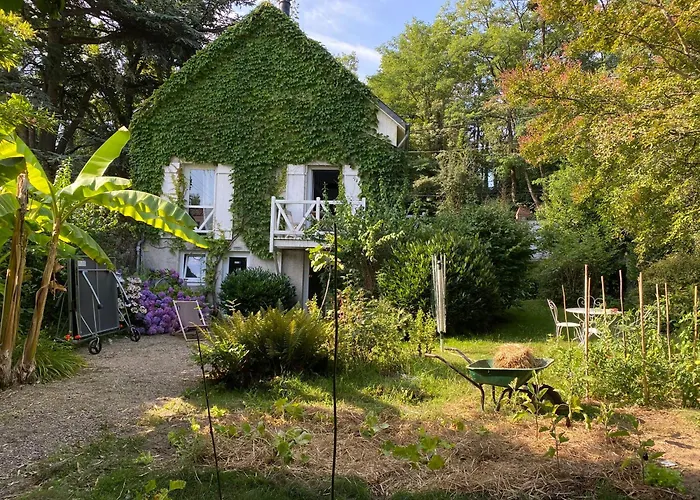 Chambre Bananier: Maison Arborée Face à La Rivière